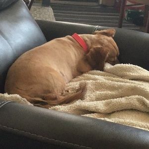 Meet your Posher, Doris